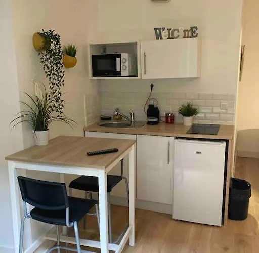 Apartment N1 Hypercentre Rue Saint Nicolas *